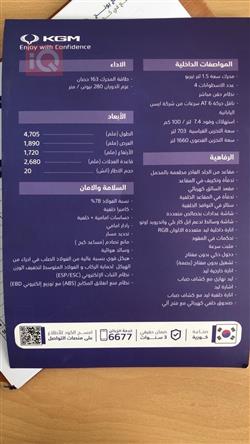 سانغ يونغ توريس